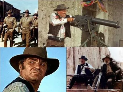 C'est un western américain de 1969, il a été réalisé par Sam Peckinpah.
William Holden, Ernest Borgnine, Robert Ryan, Edmond O'Brien font partie de la distribution. 
Une bande essaye de voler la paye des ouvriers de chemin de fer, cela se termine par un échec et un bain de sang. Cette bande cherche à se refaire en attaquant un train. La bande est attendue.
Quel est ce film ?