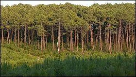 Quel est le code postal de la ville ?