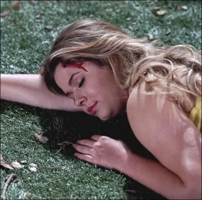 Qui a frapp&eacute; Alison &agrave; la t&ecirc;te le soir de sa disparition et pourquoi ?