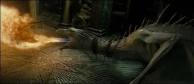 Quelle est la race du dragon qui garde la chambre forte de Bellatrix Lestrange ?