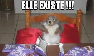 La marmotte a enveloppé le chocolat avec son papier d'après une pub.