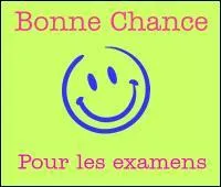 "Dans la phrase "La chasseresse sans chance de son sein choie son sang sur ses chasselas", quelle est la figure de style employée ?