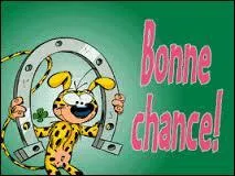 Lequel de ses insectes vous portera chance si vous le voyez s'envoler ?