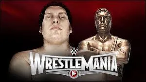 Le deuxième kick-off de WrestleMania opposera 30 catcheurs dans une bataille royale en mémoire d'André le Géant. Qui remporte cette grande bataille ?