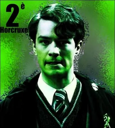 Son orgueil en prend un coup ! Lui, l'héritier de Serpentard ! Le plus grand sorcier de l'époque ! Son père est en fait un vaurien, une traînée, un lâche ! Il fallait absolument le tuer ! Et ensuite créer un Horcruxe avec :
