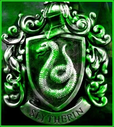 Connaissant déjà tout de l'école, voici les trois VRAIS objectifs qu'il se fixe : 
1) Partir sur les traces de ses ancêtres
2) Accomplir la noble tâche de Salazar Serpentard
3) Créer des Horcruxes