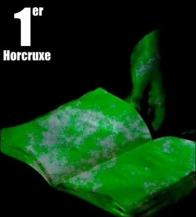 Cet événement est surtout le point de départ de la grande aventure Horcruxe : en conservant son souvenir dans un journal, Tom crée son premier fragment de vie. Qui est la victime ?