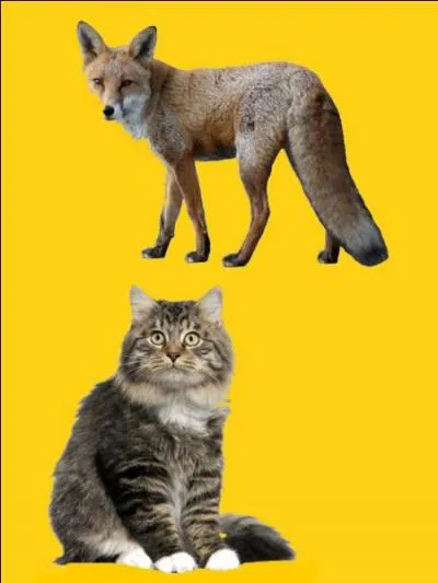 Quelle est la bonne r&eacute;ponse ?