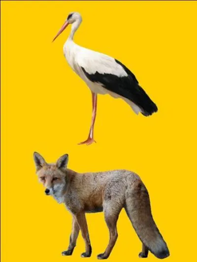 Quelle est la bonne r&eacute;ponse ?