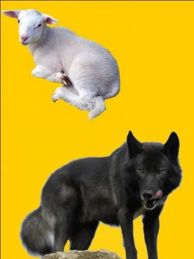 Quelle est la bonne r&eacute;ponse ?