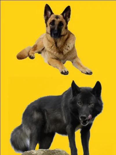 Quelle est la bonne r&eacute;ponse ?