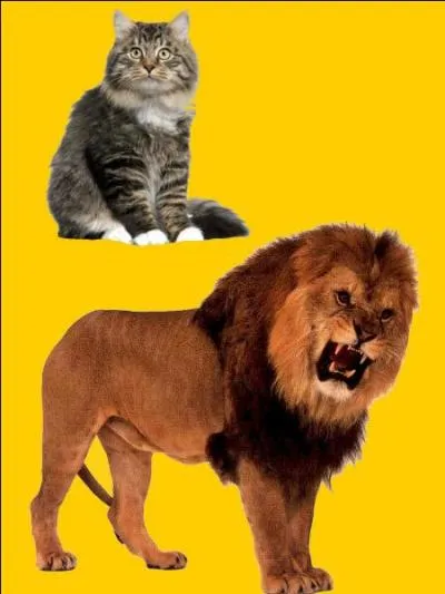 Quelle est la bonne r&eacute;ponse ?