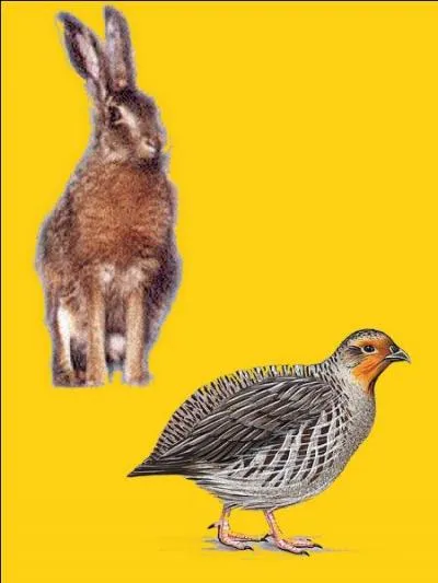 Quelle est la bonne r&eacute;ponse ?