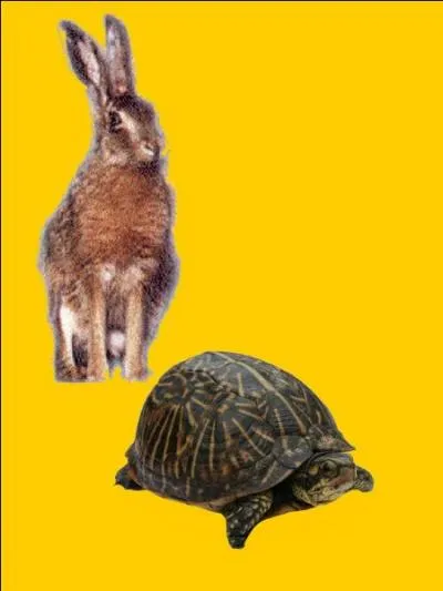 Quelle est la bonne r&eacute;ponse ?