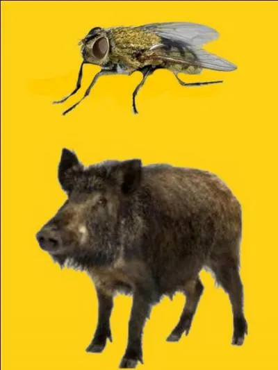 Quelle est la bonne r&eacute;ponse ?