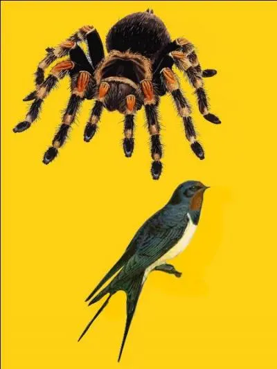 Quelle est la bonne r&eacute;ponse ?