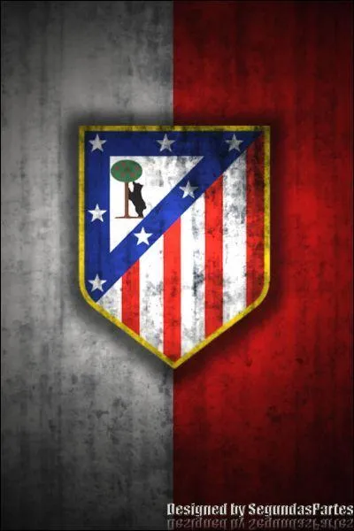 Comment s'appelle cette équipe ?