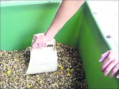 La ration est fractionnée en :