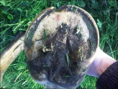 Quelle est cette photo ?