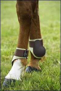 Les protections doivent être :