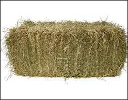 Quelle est cette nourriture pour chevaux ?