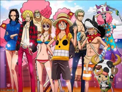 Combien y a-t-il de pirates dans l'équipage du chapeau de paille ?