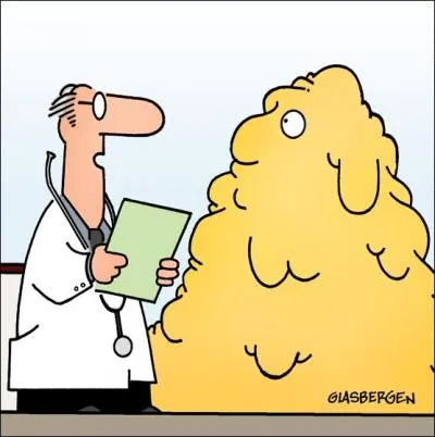 Le bilan lipidique passe par le dosage :