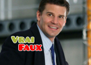Quiz Vrai / Faux - Seeley Booth