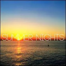 Comment finir ce quiz si ce n'est avec cette chanson que beaucoup ont fredonné : "Summer Nights". C'est un joli duo qui le chante, lequel ?