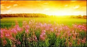 Chanson aux 5000 versions, "Sommertime" est tirée d'un opéra dont la musique est signée Georges Gershwin. Quelle est la première chanteuse américaine à l'avoir interprété ?