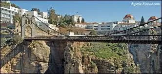 Cette ville a plusieurs surnom, comme la « ville des ponts suspendus », « ville du vieux rocher », « Ville des oulémas », aussi « Ville des aigles » ou bien « Ville du malouf ». Dans quel pays pouvez-vous vous visiter Constantine, une ville de 448 400 habitants ?