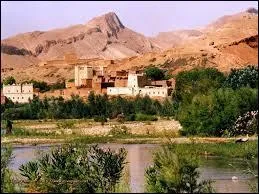 Laquelle de ces mers borde ce pays ?