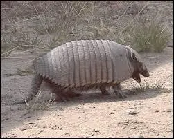 Trouvez son nom cr&eacute;ole !