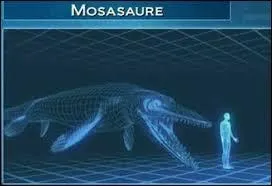 À quel docteur le premier crâne fut-il confié ?