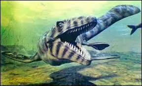 Qu'en est-il de sa longueur maximale ?