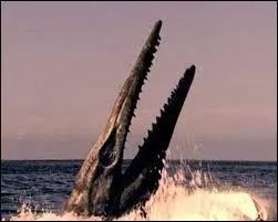 Combien de vertèbres pouvait-il avoir au maximum ?