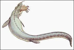 Quand l'espèce est-elle apparue ?