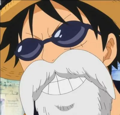 Dans quel arc Luffy est-il déguisé ainsi ?