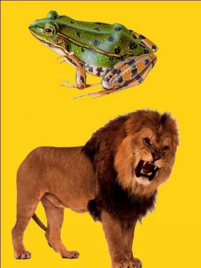 Quelle est la bonne r&eacute;ponse ?