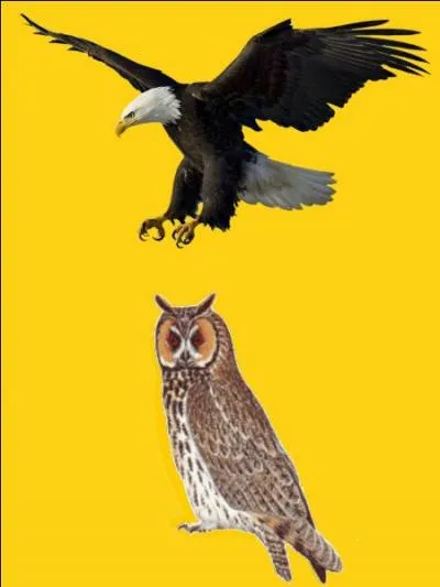 Quelle est la bonne r&eacute;ponse ?