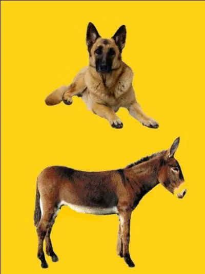 Quelle est la bonne r&eacute;ponse ?