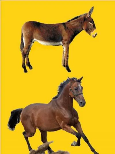 Quelle est la bonne r&eacute;ponse ?