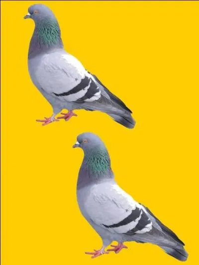 Quelle est la bonne r&eacute;ponse ?