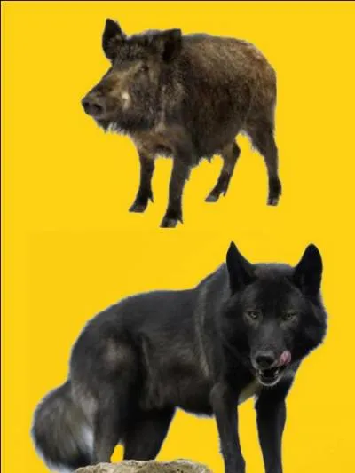 Quelle est la bonne r&eacute;ponse ?