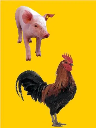 Quelle est la bonne r&eacute;ponse ?