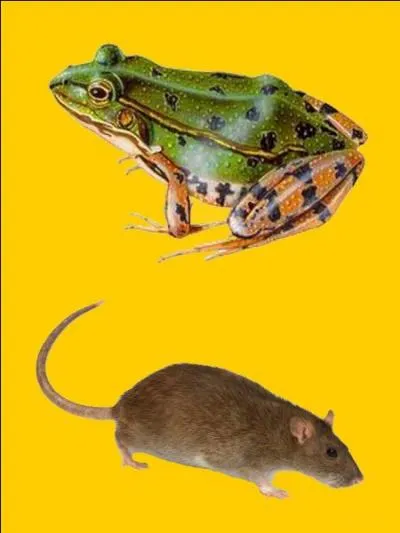 Quelle est la bonne r&eacute;ponse ?