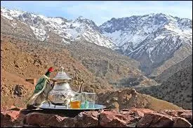Deux sortes de plantes peuplent la majorité du parc national de Toubkal. Trouvez alors l'intrus :