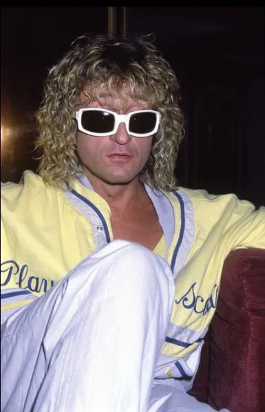 A qui Polnareff disait-il "Goodbye" ?