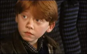 24 août 1988 - Naissance de Rupert Grint. Qui a-t-il interprété dans « Harry Potter » ?