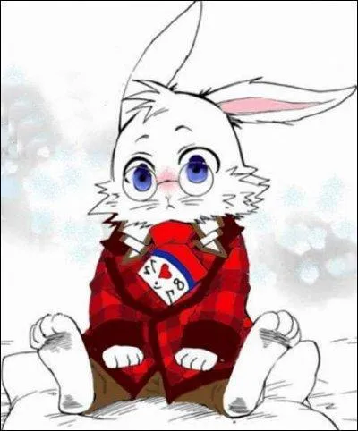 De quel manga vient cette personne ?